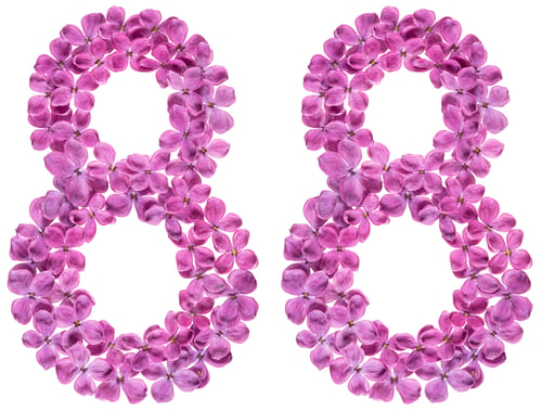 Preview: Arabic numeral 88, eighty eight, from flowers of lilac, isolated on white background