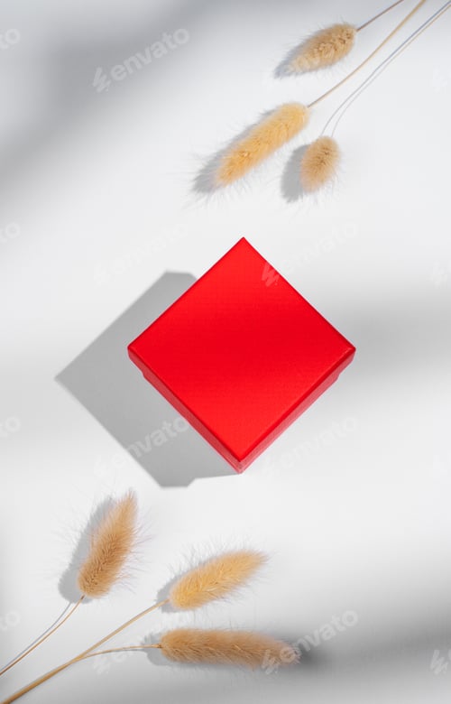 Preview: Red box on a white background with dry flowers and soft shadows.