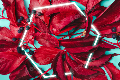 Preview: Autumn background. Purple leaves and blue berries of wild grapes. Stylish Hexagon Frame