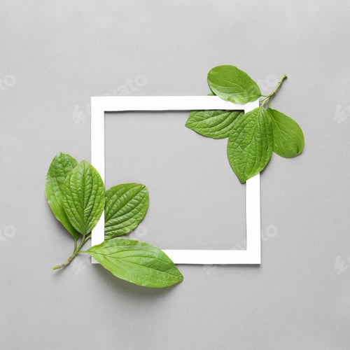 Preview: Flat lay composition with green leaves on color background. Space for text