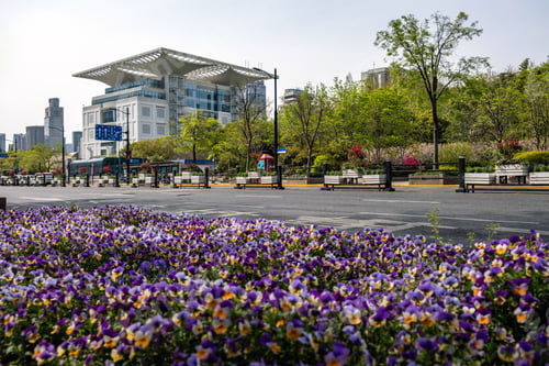 Preview: Flowerbed on a city street at Shanghai China, modern buildings and cloudy sky