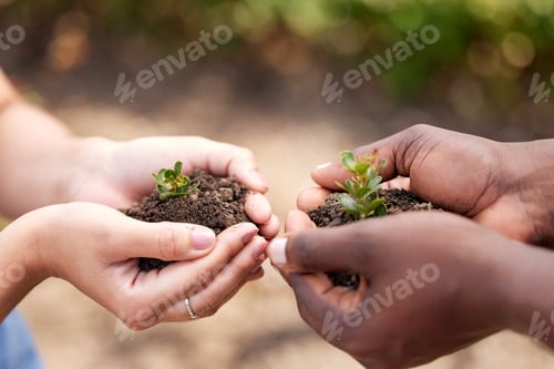 Preview: Gardens are not made by singing Oh, how beautiful