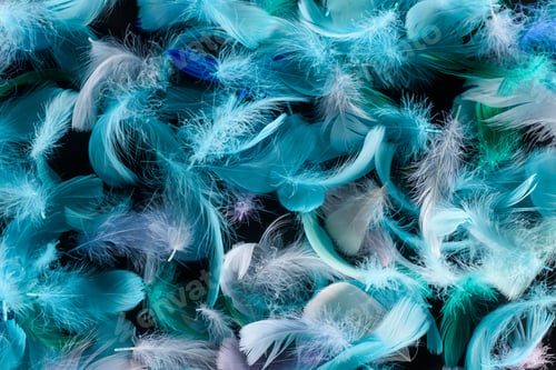 Preview: seamless background with bright blue, green and turquoise feathers isolated on black