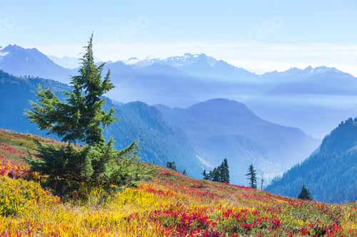 Preview: Mountains in Washington
