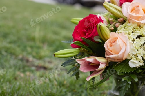 Preview: Fresh colorful roses at the Garden
