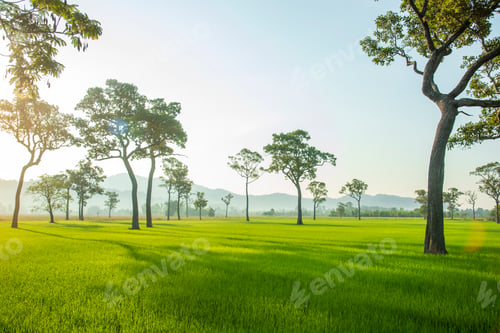 Preview: Beautiful landscape mountain green field grass meadow white cloud blue sky