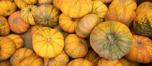 Preview: Pumkins and Gourds Piled up in a Traditional Fall Produce Display