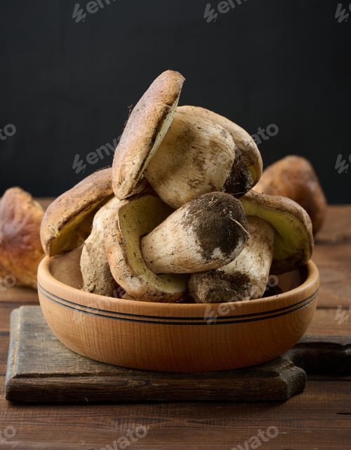 Preview: Fresh forest porcini mushrooms in a wooden plate