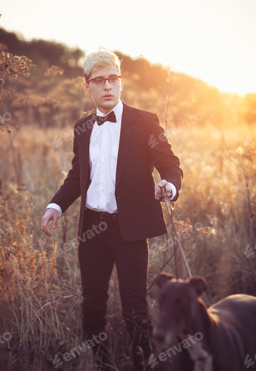 Preview: Young attractive man in suit and tie with a greyhound dog in aut