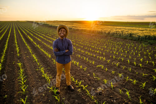Preview: Farmer in his agricultural field
