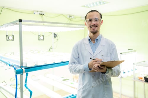 Preview: agriculture scientist working to research a green vegetable plant in a field of biology laboratory