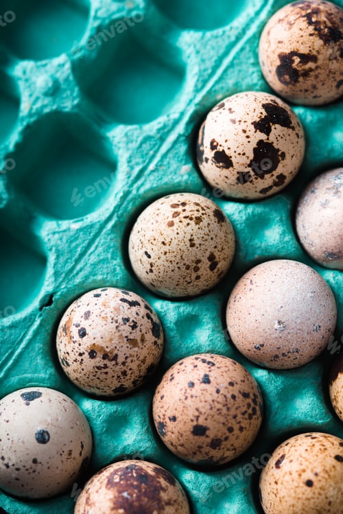 Preview: Speckled Quail Eggs in a Teal Carton