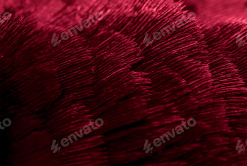Preview: red pheasant feathers with a visible texture. background