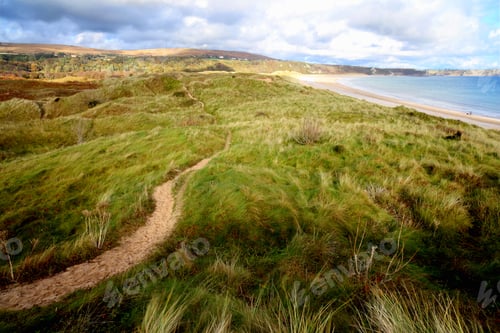 Vista previa: View of Oxwich bay from the dunes, Gower, Wales