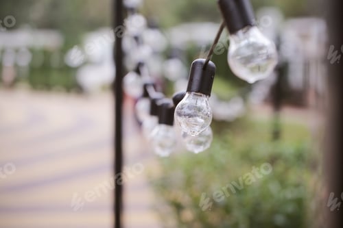 Preview: Bulbs Hanging In The Park And It'S Raining
