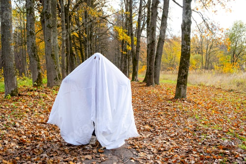 Preview: child in sheets with cutout for eyes like a ghost costume in an autumn forest