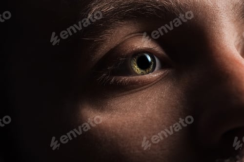 Preview: close up view of man eye with eyelashes and eyebrow looking away in darkness