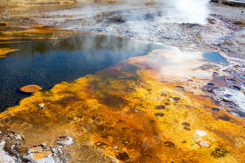 Preview: Upper Geyser Basin Bacteria Mat