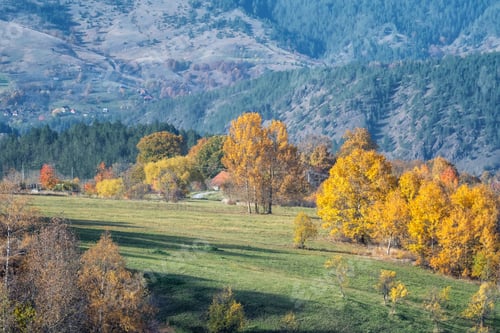 Preview: Colorful view of an autumn mountain