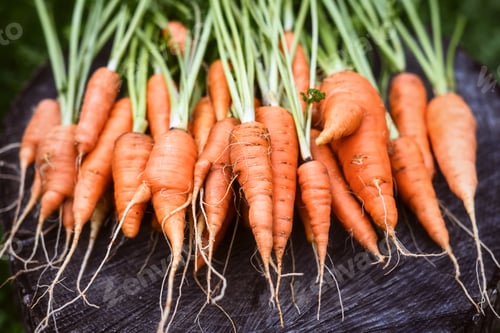 Preview: Bunch of freshly harvested carrots