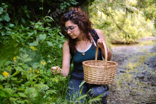 Preview: side view of Woman foraging wild herbs in nature