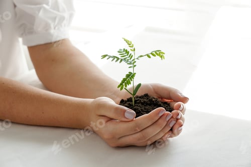 Preview: a woman holding a green plant in palm of her hand