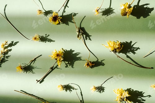 Preview: Beautiful Yellow Bried Flowers, Floral Pattern.