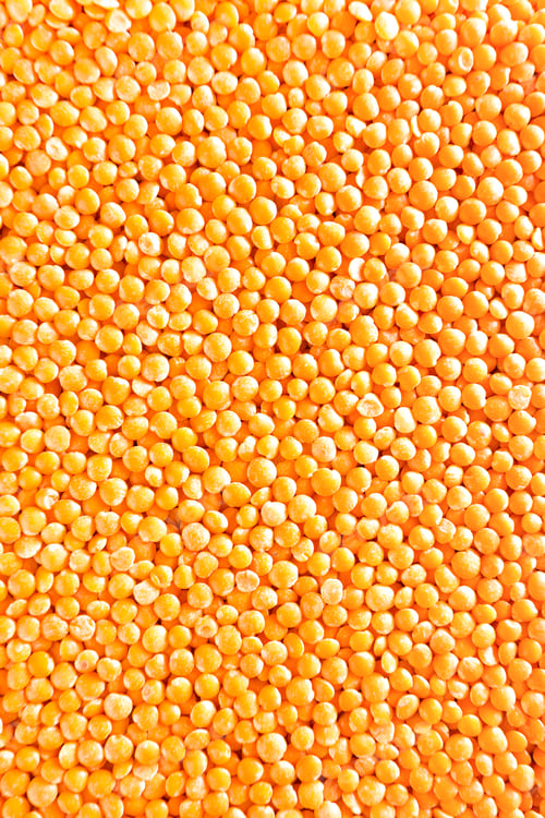 Preview: Raw lentil background. Fresh lentils isolated. Vegetarian food. Top view