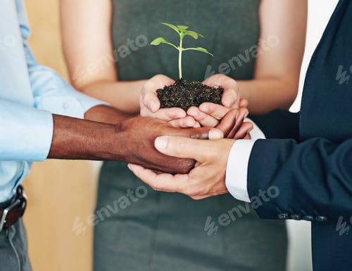Preview: Growth requires time, commitment and effort from all