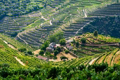 Preview: Quaint village in Douro Valley surrounded by vineyards