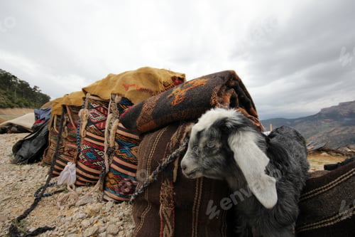 Preview: Handmade wool saddlebags. Taurus Mountains Turkey.