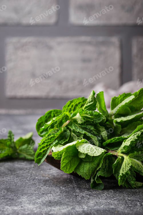Preview: Bunch of fresh mint in a pot