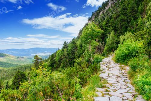 Preview: Green meadow and blue sky with clouds over the mountains Ukraine