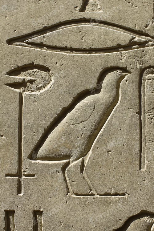 Preview: Closeup of ancient egypt images and hieroglyphics