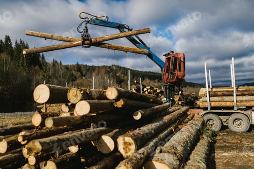 Preview: Crane loading wood into wood truck and the wood grapple holding logs in the air