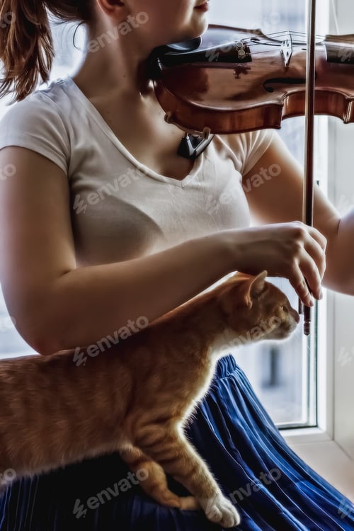 Preview: A young girl plays the violin by the window with a cat on her lap