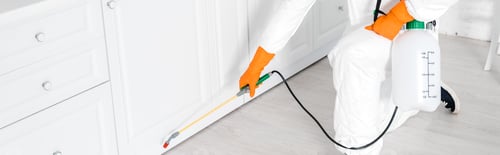 Professional Pest Control Services Indoors at a Residence