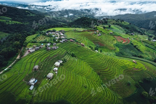 Preview: High angle view Green Rice field on terraced in Chiangmai