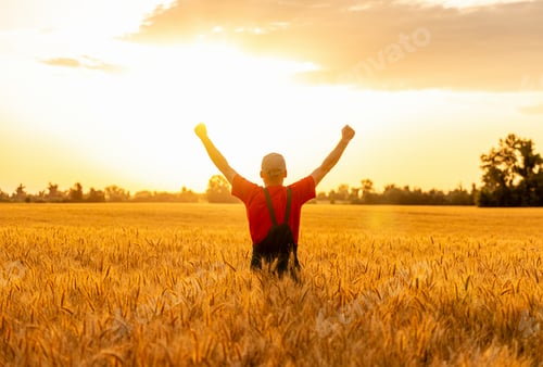 Preview: Rear view of male farmer with raised arms in cereal field at sunset