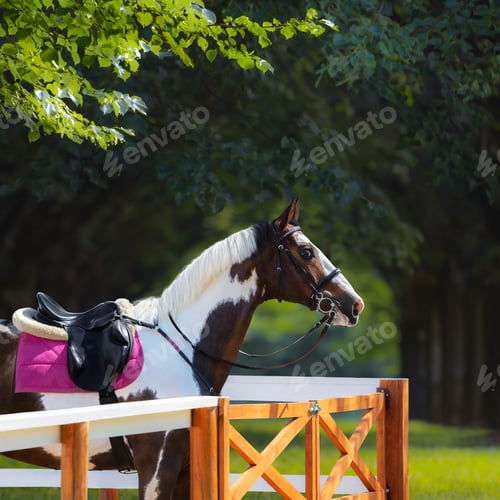 Preview: Paint horse with bridle and saddle