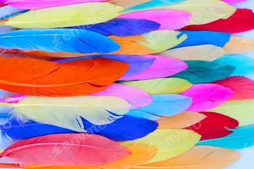 Preview: Colorful pattern made of feathers.