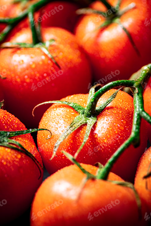 Preview: Fragrant ripe tomatoes with drops of water.