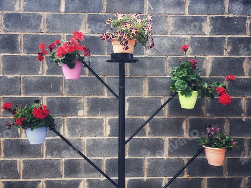 Preview: “Flowers”