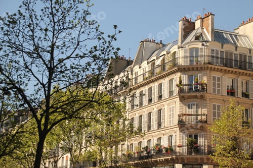 Preview: Sunny day view of Parisian apartment buildings with trees.