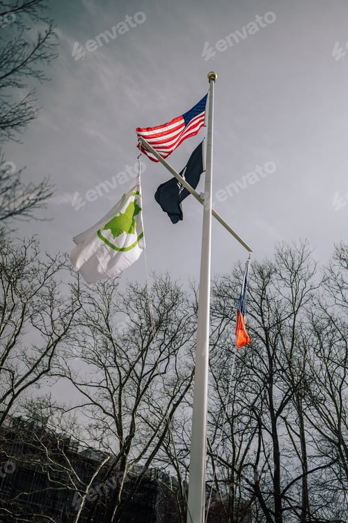 Preview: Low angle of a pole with the flag of The United States