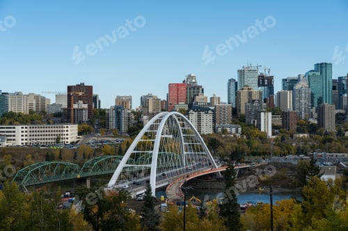 Preview: Bird's eye view of trees with a background of the Edmonton cityscape