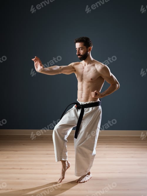 Preview: Karateka Sensei at work