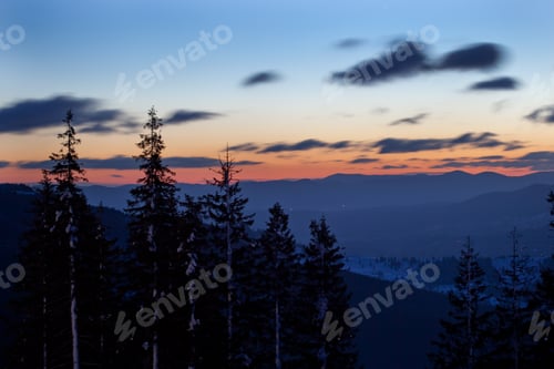 Preview: Trees crowns with snow over hills and valley at background