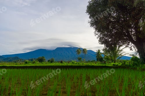 Preview: beautiful morning view from Indonesia