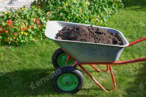 Preview: Wheelbarrow full of humus and compost on yard.